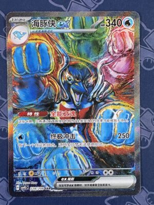 海豚侠ex 228/208 — copy 001 front