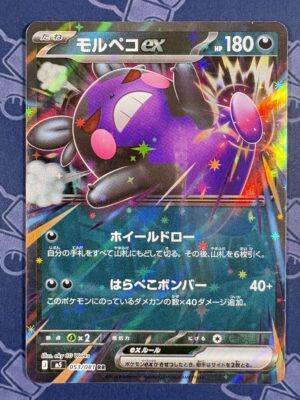 モルペコex 053/081 — copy 001 front