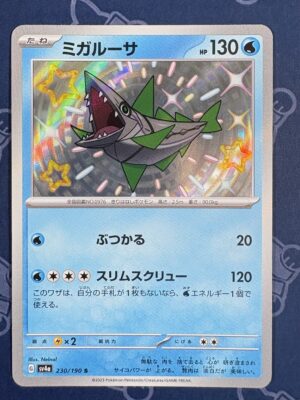 ミガルーサ 230/190 — copy 001 front