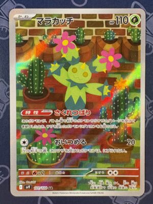 マラカッチ 101/100 — copy 001 front